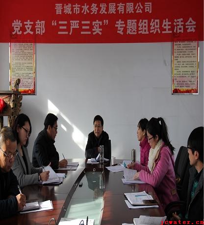 市水務(wù)公司黨支部召開“三嚴(yán)三實(shí)”專題組織生活會